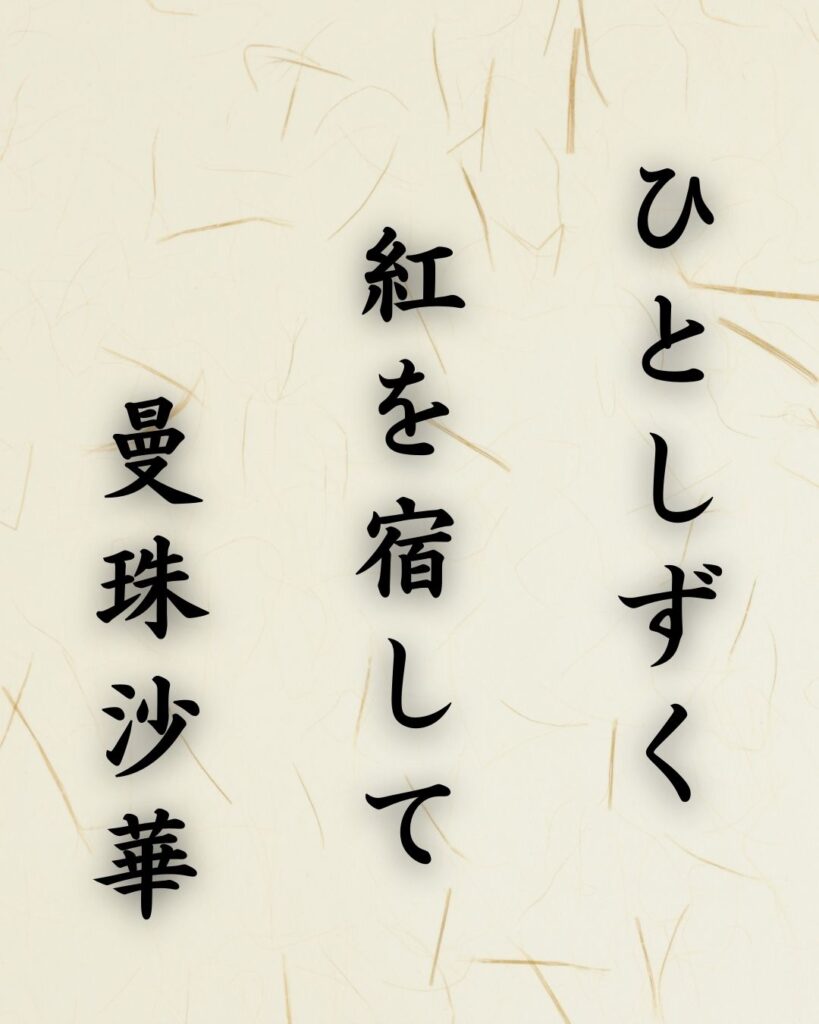 末吉俳句日記「ひとしずく 紅を宿して 曼珠沙華」俳句テキスト画像