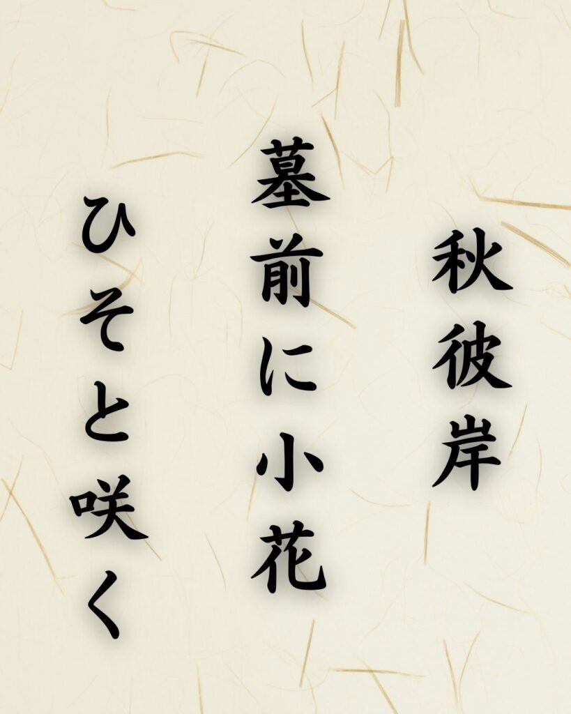 末吉俳句日記「生垣の 蔦はしずかに 子規忌そむ」俳句テキスト画像
