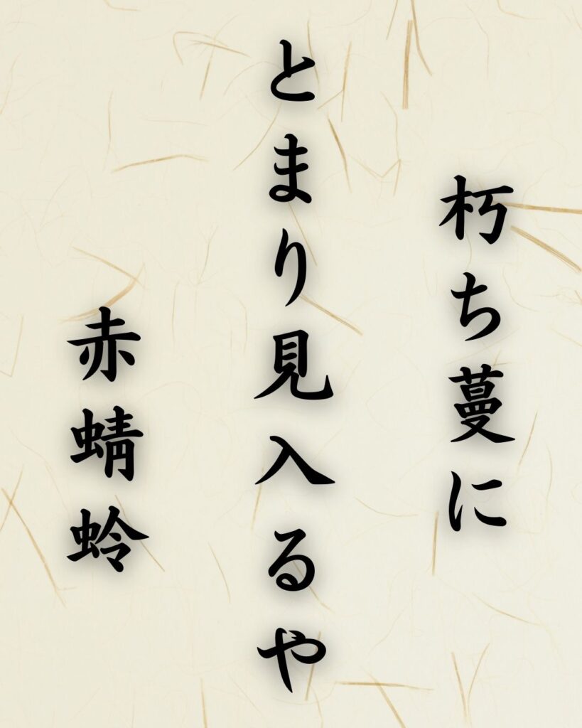 末吉俳句日記「いがぐりの　にがし貌や　甘き実ぞ」俳句テキスト画像