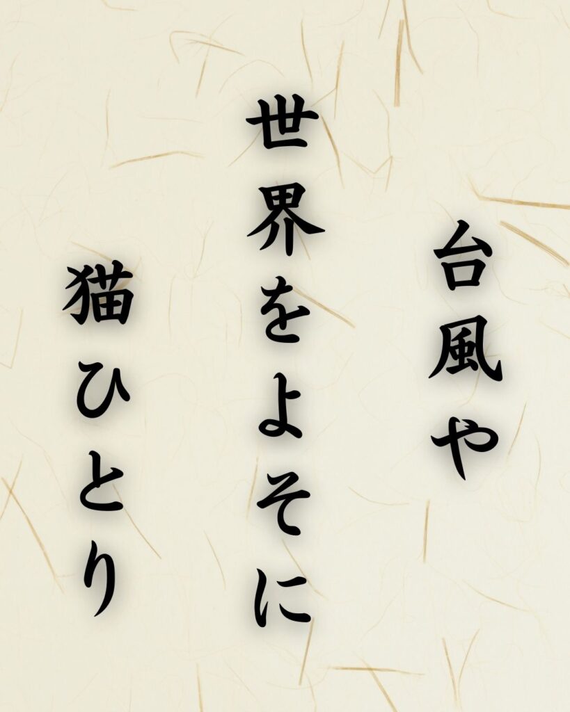 末吉俳句日記「台風や 世界をよそに 猫ひとり」俳句イメージ画像