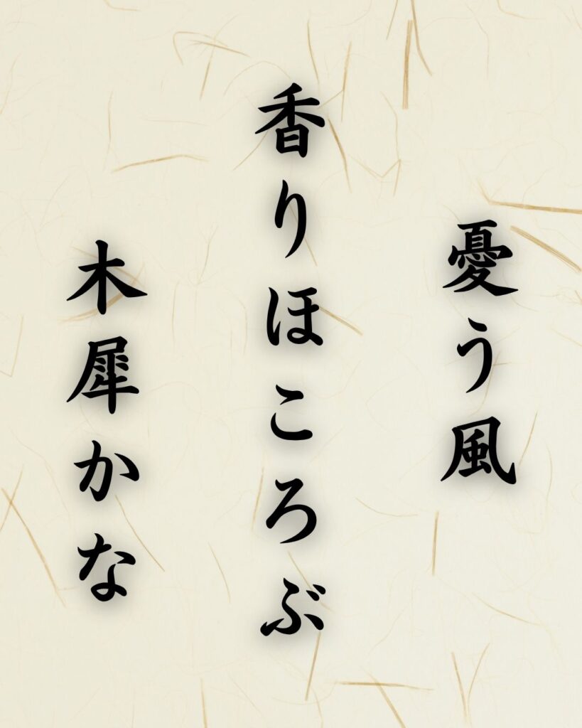 末吉俳句日記「膝の猫 寝息にまかせ 夜長読む」俳句テキスト画像