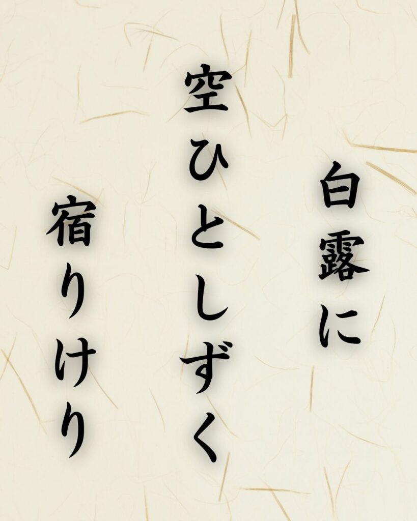 末吉俳句日記「台風や 世界をよそに 猫ひとり」俳句イメージ画像