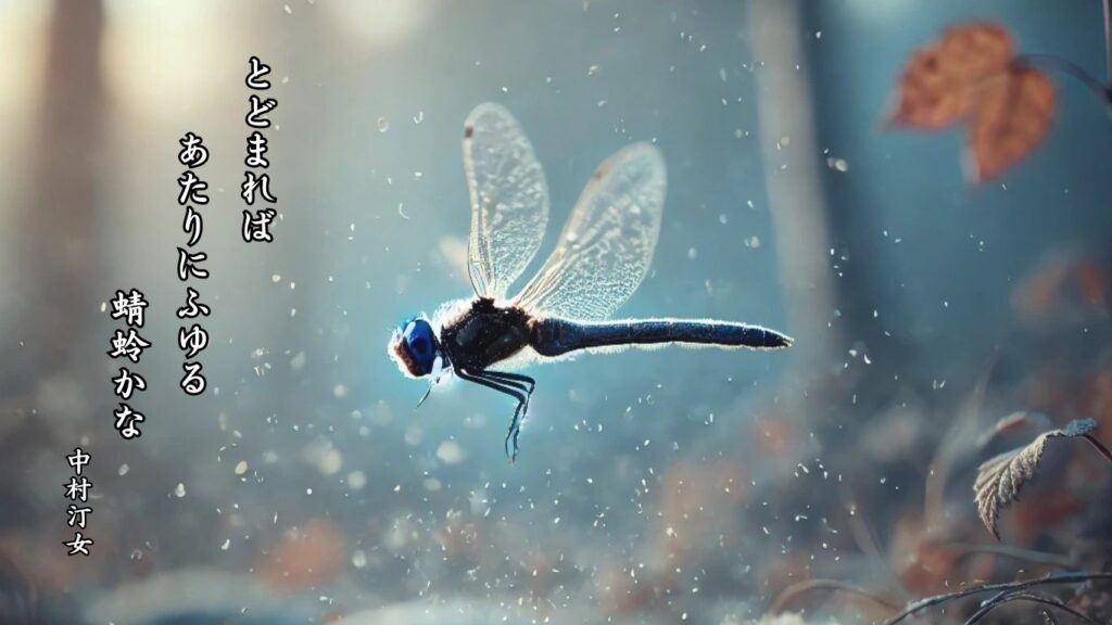 秋の動物季語12選-有名俳人の句で知る季節のことば「蜻蛉」『とどまれば あたりにふゆる 蜻蛉かな』「中村汀女」の俳句のイメージイラスト画像