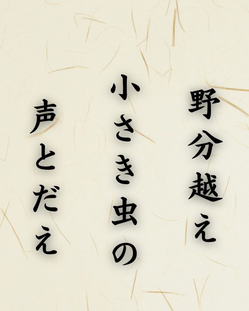末吉俳句日記「野分越え 小さき虫の 声とだえ」俳句テキスト画像