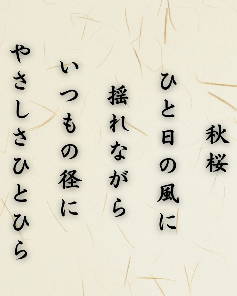 わたぼうし短歌帖「秋桜 ひと日の風に 揺れながら
いつもの径に やさしさひとひら」短歌テキスト画像