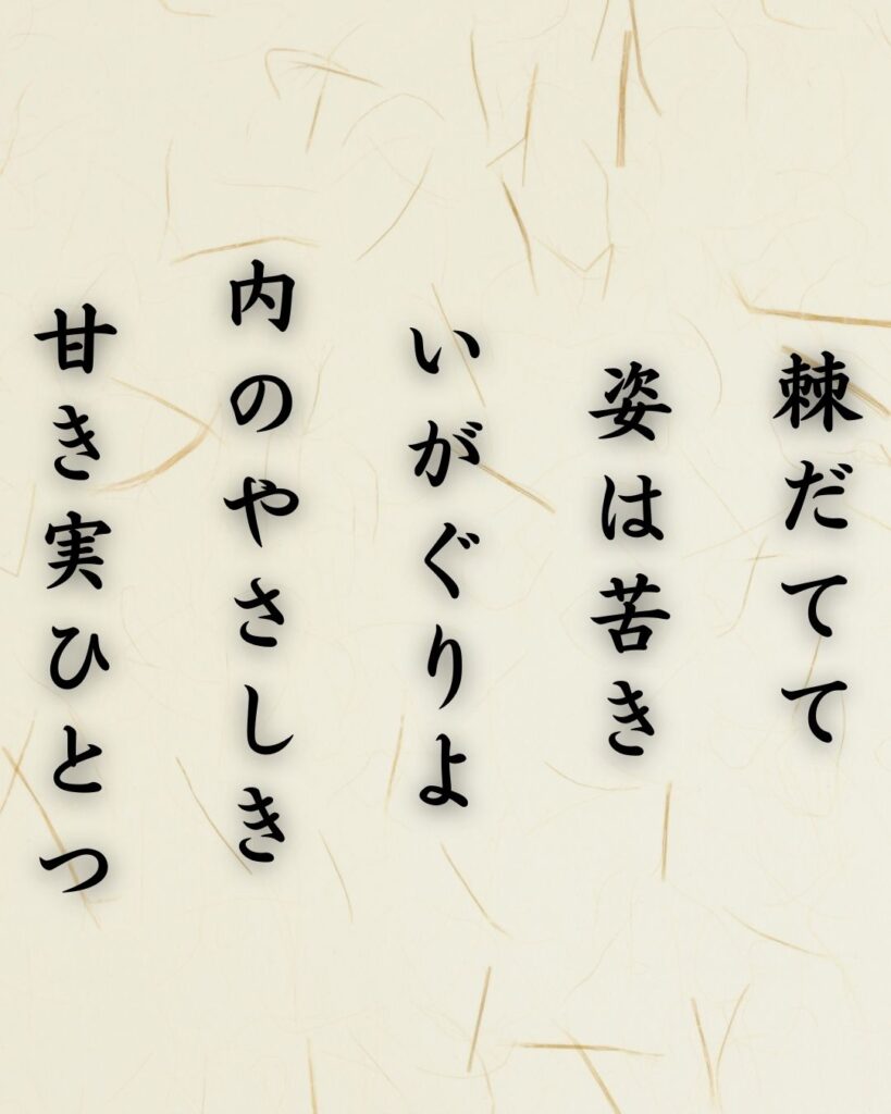 わたぼうし短歌帖「棘だてて 姿は苦き いがぐりよ
内のやさしき 甘き実ひとつ」短歌イメージ画像