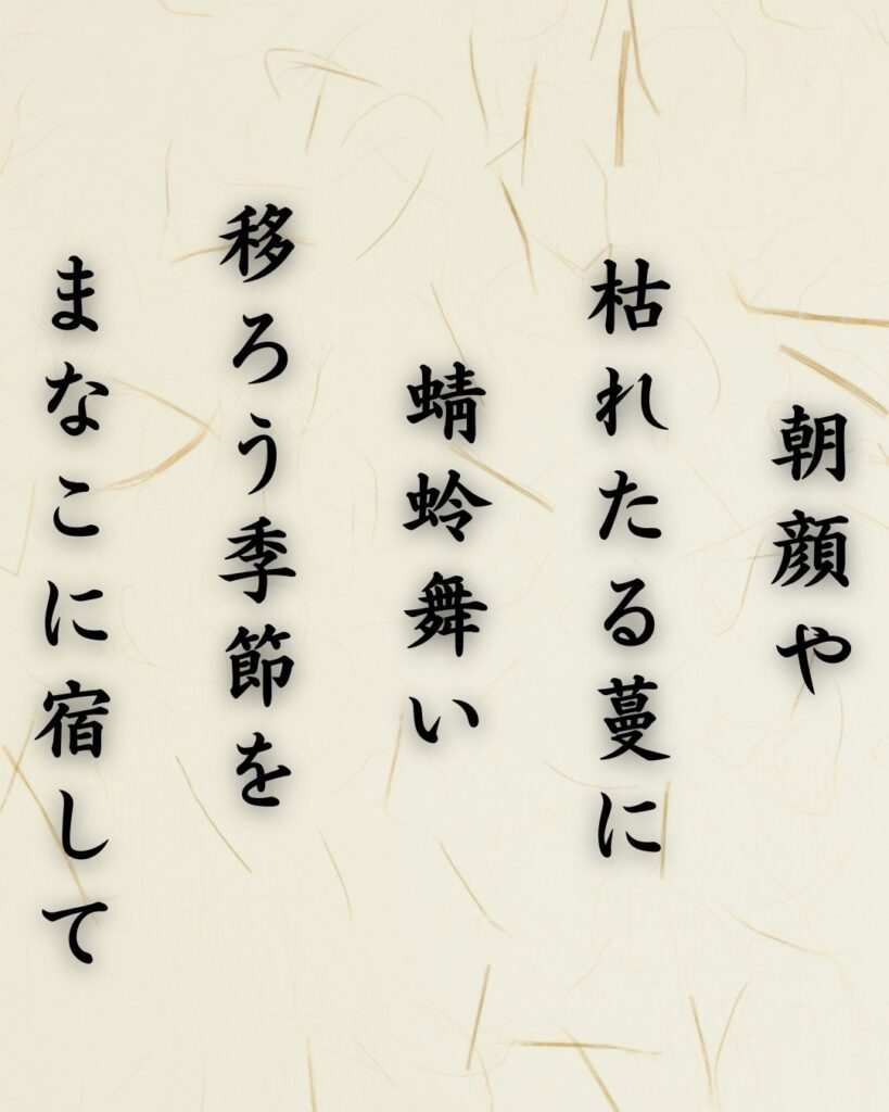 わたぼうし短歌帖「朝顔や　枯れたる蔓に　蜻蛉舞い
移ろう季節を　まなこに宿して」短歌テキスト画像
