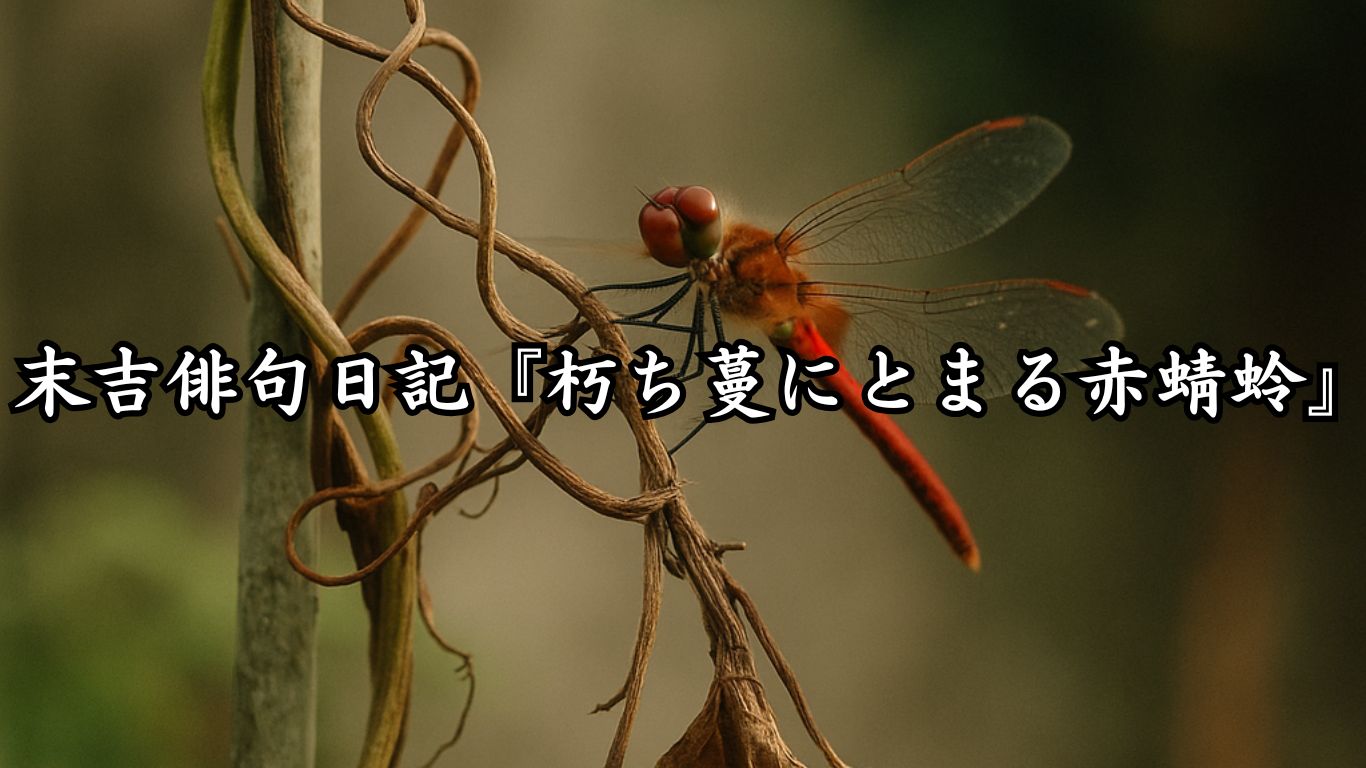 末吉俳句日記末吉俳句日記『朽ち蔓にとまる赤蜻蛉』タイトルイメージ