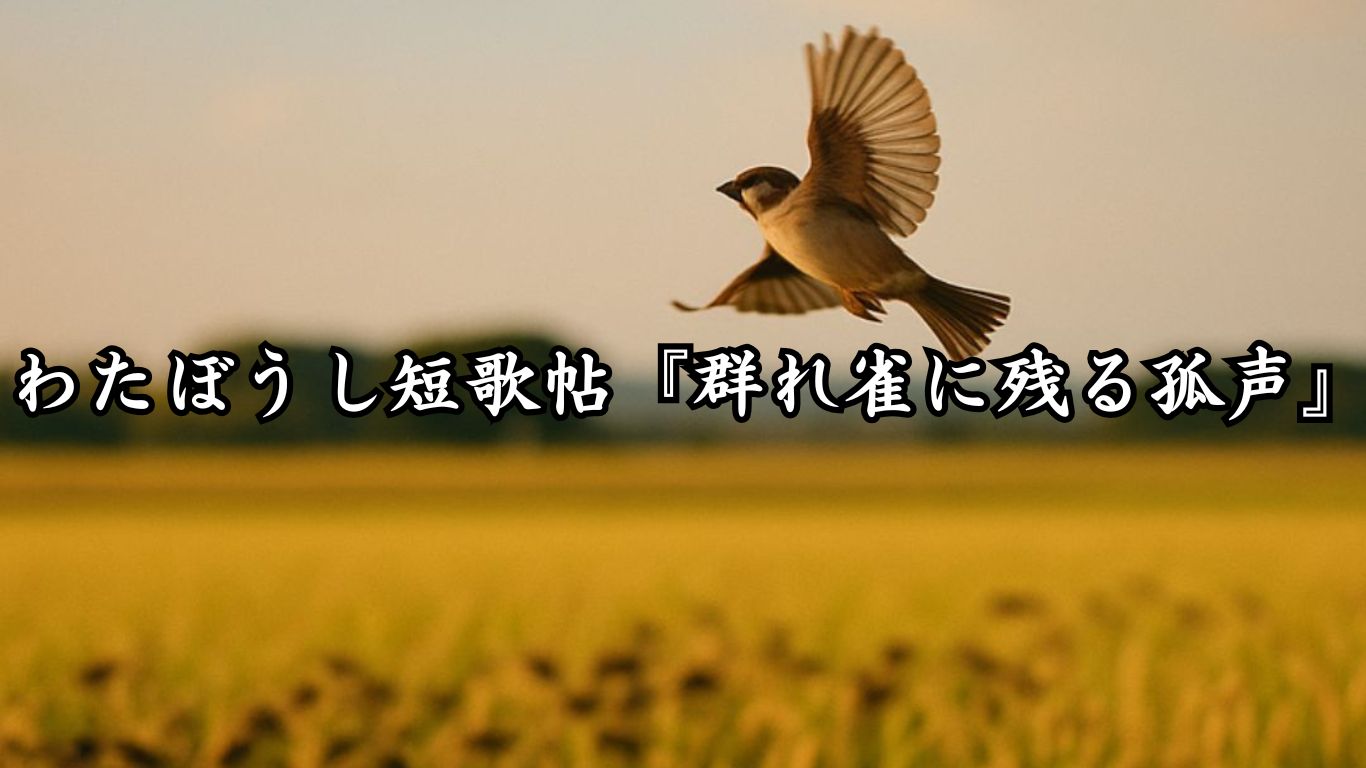 わたぼうし短歌帖『九月の膳に残る夏影』タイトルイメージ画像