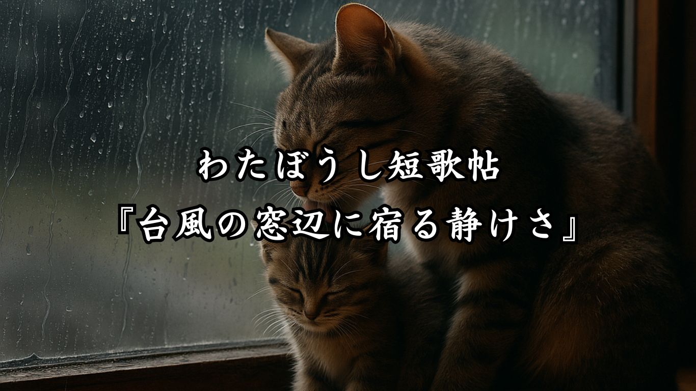 わたぼうし短歌帖『わたぼうし短歌帖『台風の窓辺に宿る静けさ』』タイトルイメージ画像