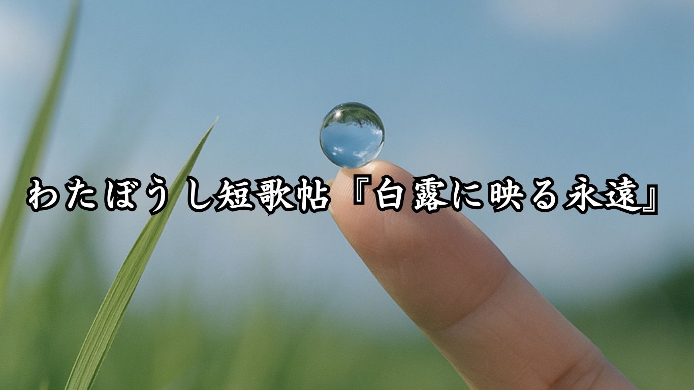 わたぼうし短歌帖『白露に映る永遠』タイトルイメージ画像
