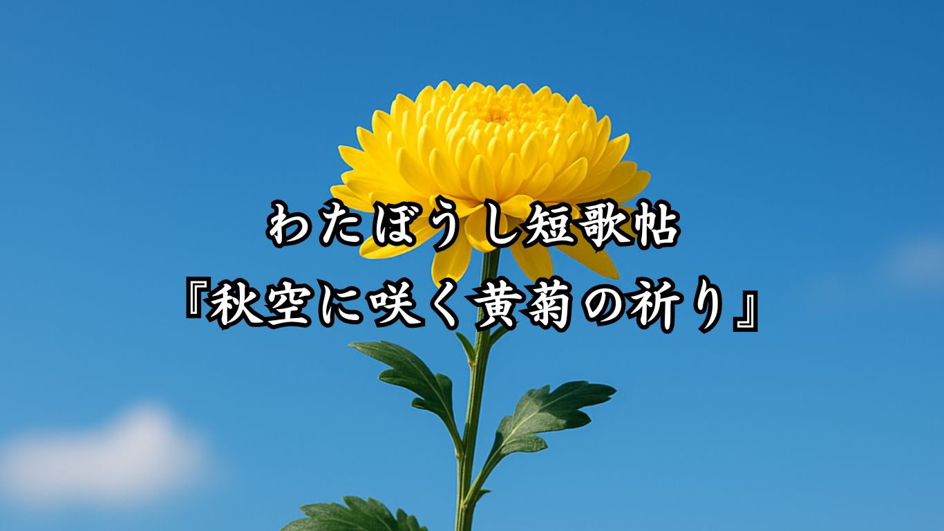 わたぼうし短歌帖『秋空に咲く黄菊の祈り』タイトルイメージ画像