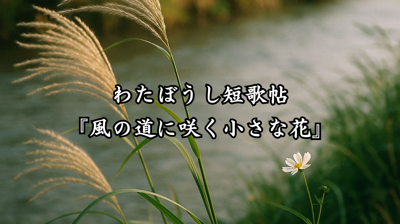 わたぼうし短歌帖『風の道に咲く小さな花』タイトルイメージ画像