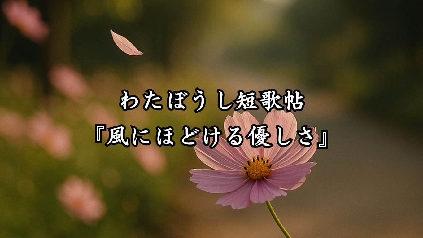 わたぼうし短歌帖『風にほどける優しさ』タイトルイメージ画像
