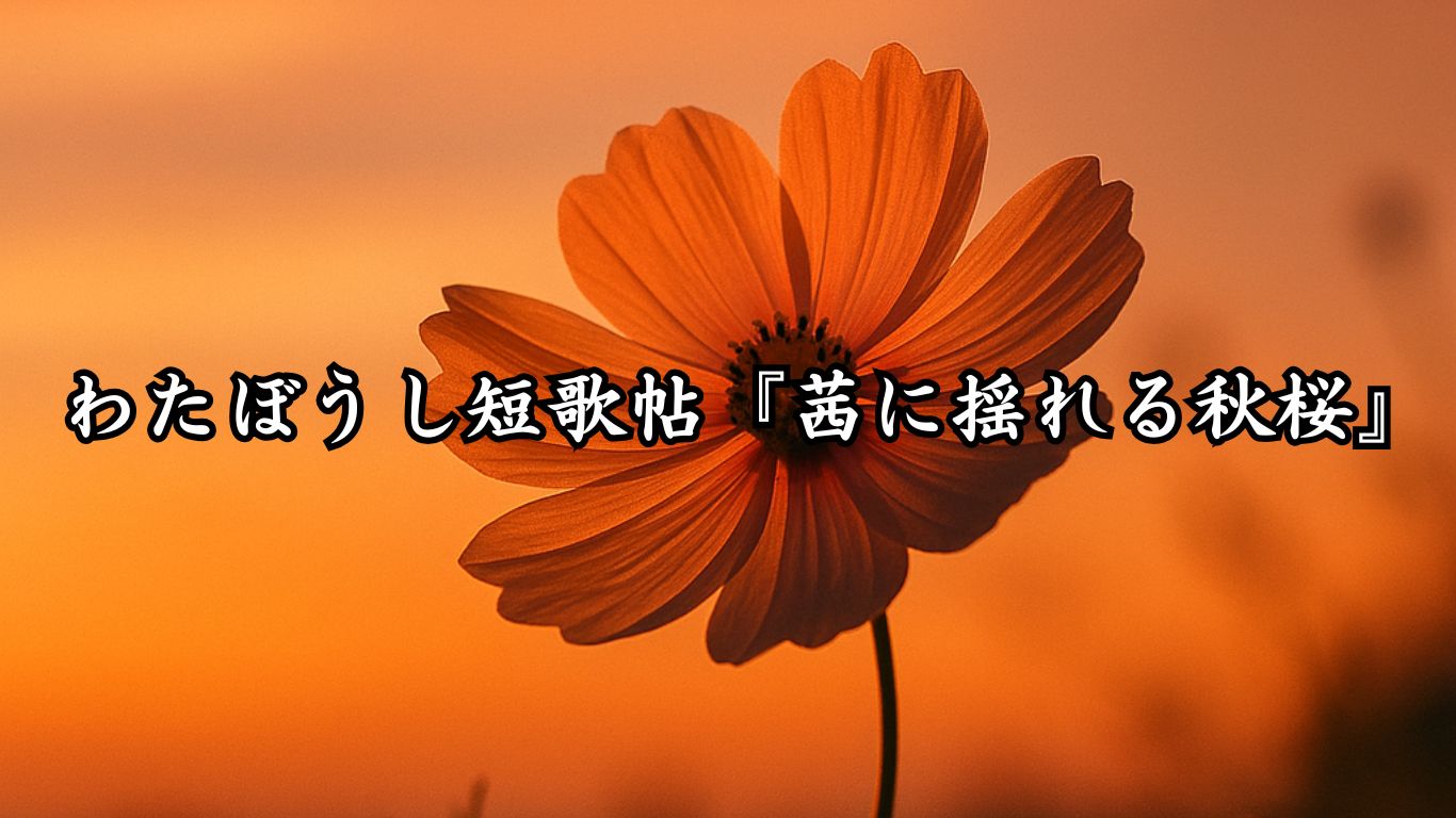 わたぼうし短歌帖『茜に揺れる秋桜』タイトルイメージ画像