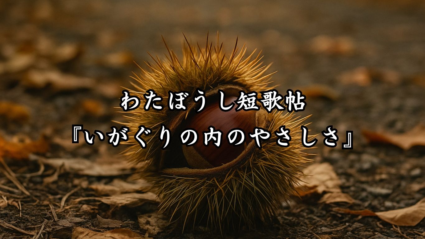 わたぼうし短歌帖『夏恋ふ秋の朝』タイトルイメージ画像