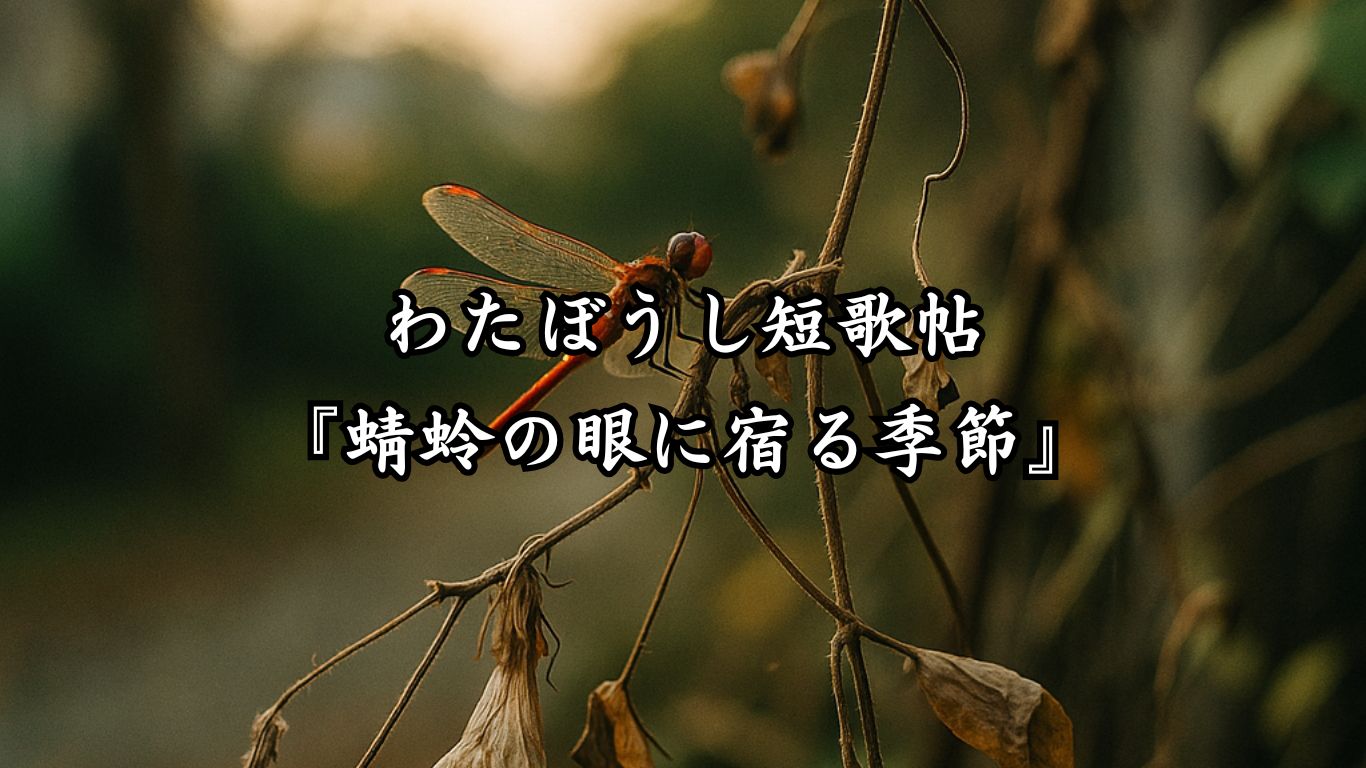 わたぼうし短歌帖『蜻蛉の眼に宿る季節』タイトルイメージ画像