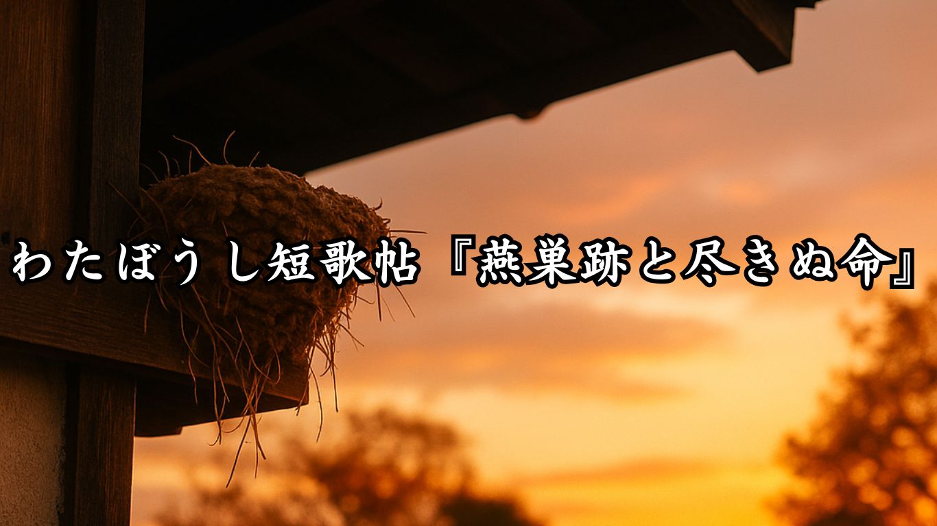 猫と灯に寄せる秋の夜