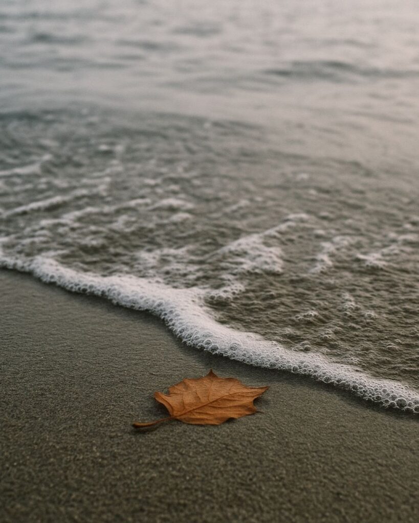 末吉俳句日記「晩秋の 暮れる夕日を みおくりて」俳句イメージ画像