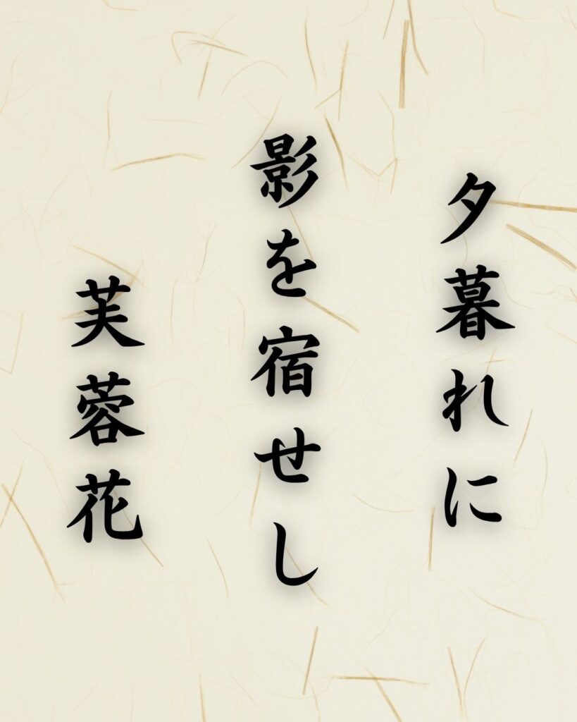 末吉俳句日記「夕暮れに 影を宿せし 芙蓉花」俳句テキスト画像