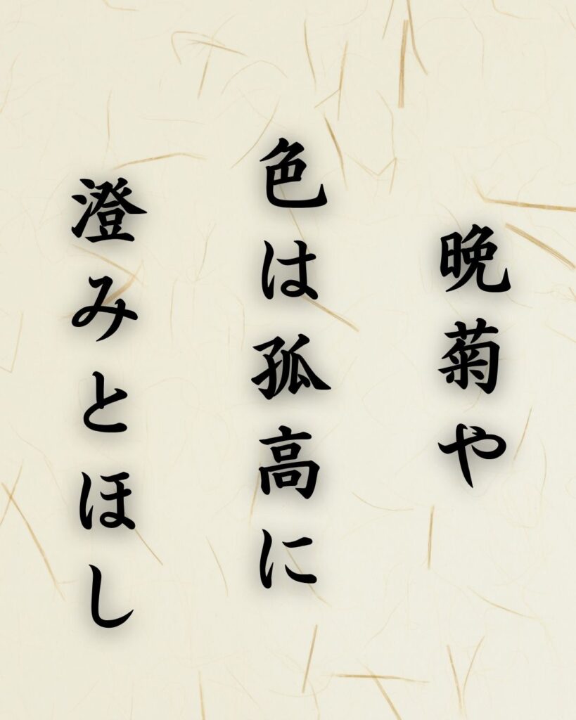 末吉俳句日記「晩菊や 色は孤高に 澄みとほし」俳句テキスト画像
