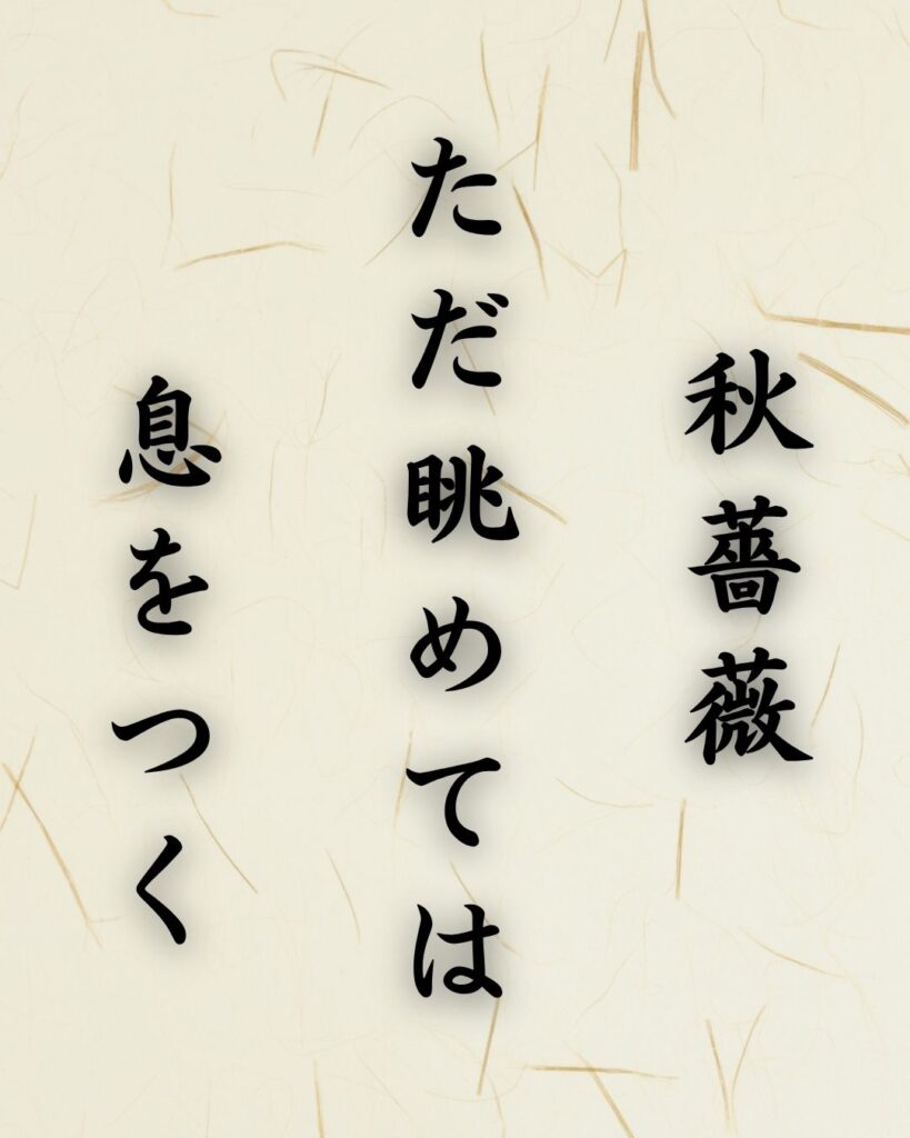 末吉俳句日記「秋薔薇 ただ眺めては 息をつく」俳句テキスト画像
