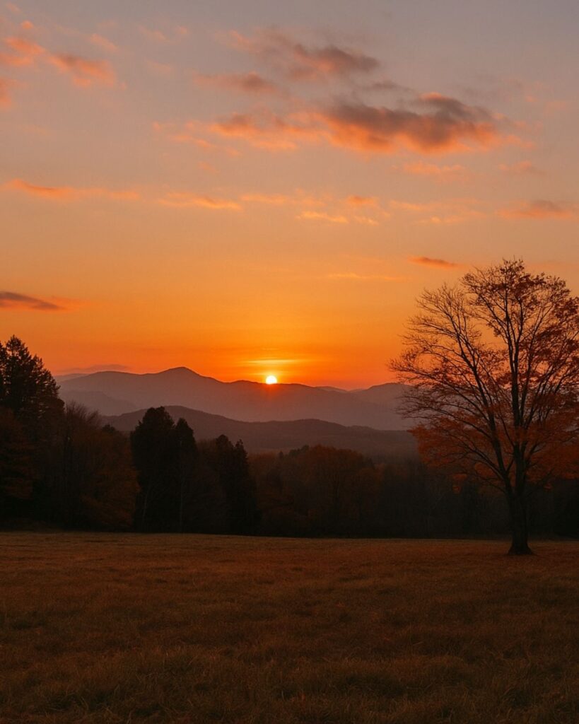 わたぼうし短歌帖「オリオンに 闇を傾け 星流し
祈りは越えぬ 光雨しずめて」短歌イメージ画像