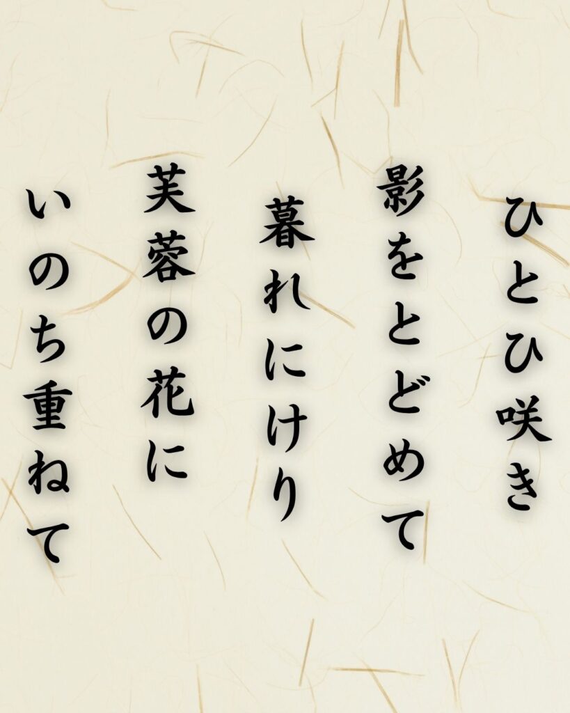 わたぼうし短歌帖「ひとひ咲き 影をとどめて 暮れにけり
芙蓉の花に いのち重ねて」短歌テキスト画像