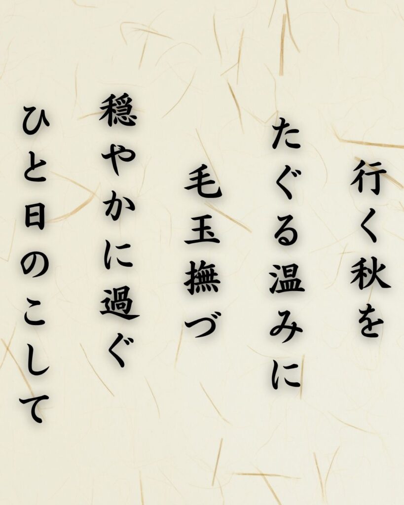 わたぼうし短歌帖「行く秋を　たぐる温みに　毛玉撫づ
穏やかに過ぐ　ひと日のこして」短歌テキスト画像
