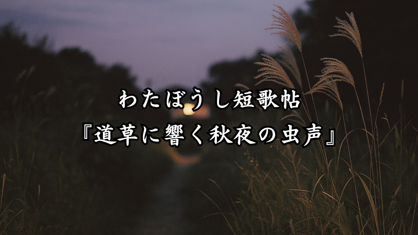 わたぼうし短歌帖『道草に響く秋夜の虫声』タイトルイメージ画像
