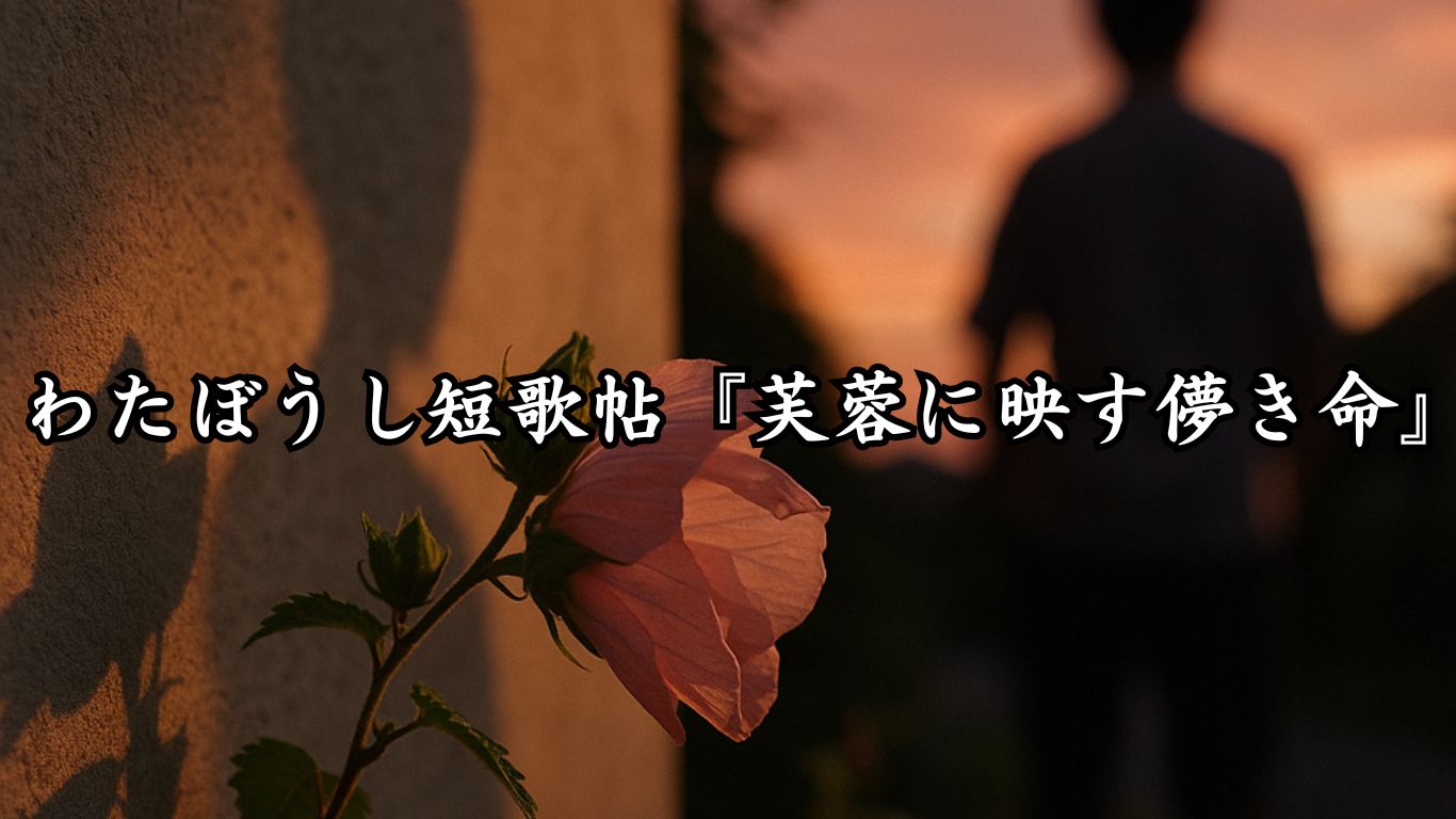 わたぼうし短歌帖『芙蓉に映す儚き命』タイトルイメージ画像