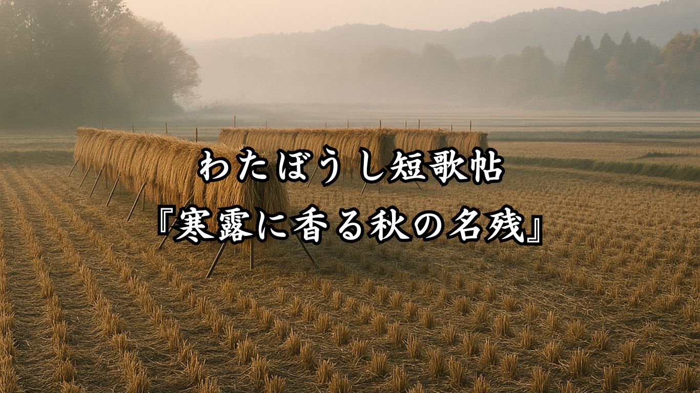 わたぼうし短歌帖『寒露に香る秋の名残』タイトルイメージ画像