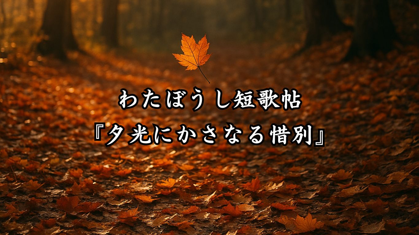わたぼうし短歌帖『夕光にかさなる惜別』タイトルイメージ画像