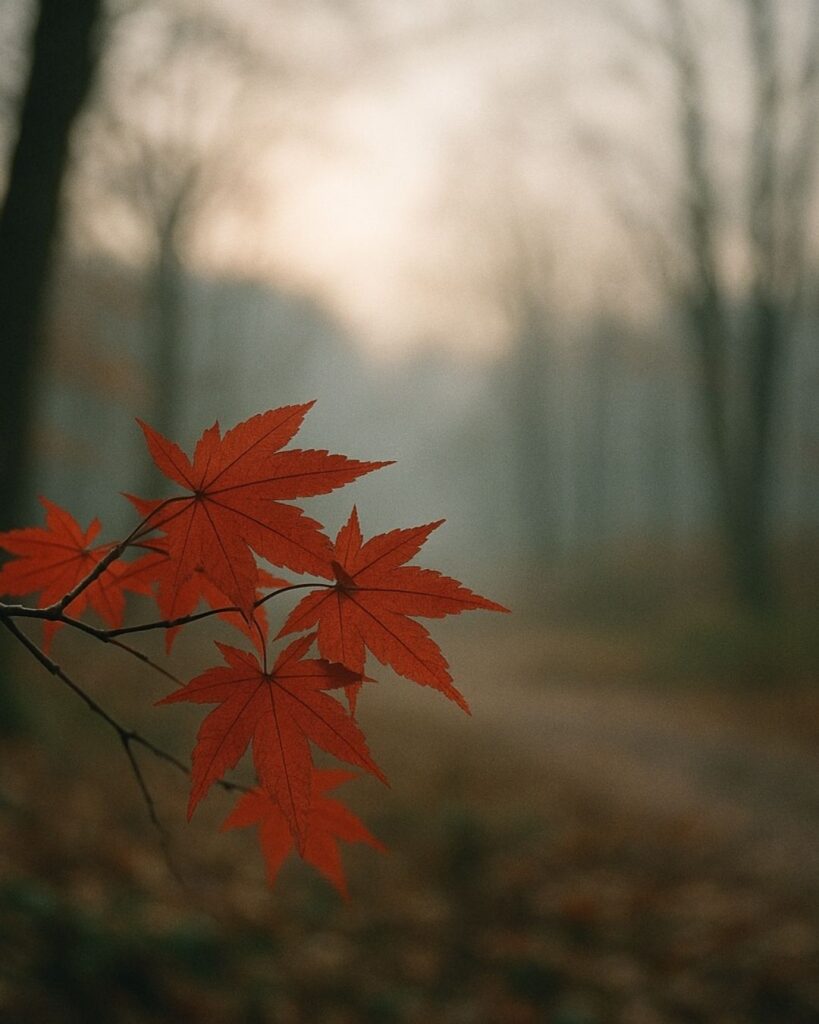 末吉俳句日記「小冬紅葉　ありしうつつも　ほころびぬ」俳句イメージ画像