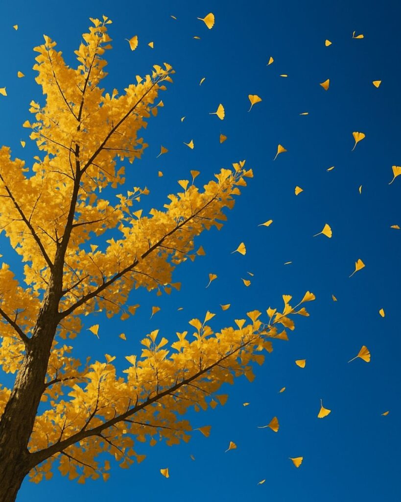 末吉俳句日記「冬うらら 寝転ぶままの 蒼かな」俳句イメージ画像