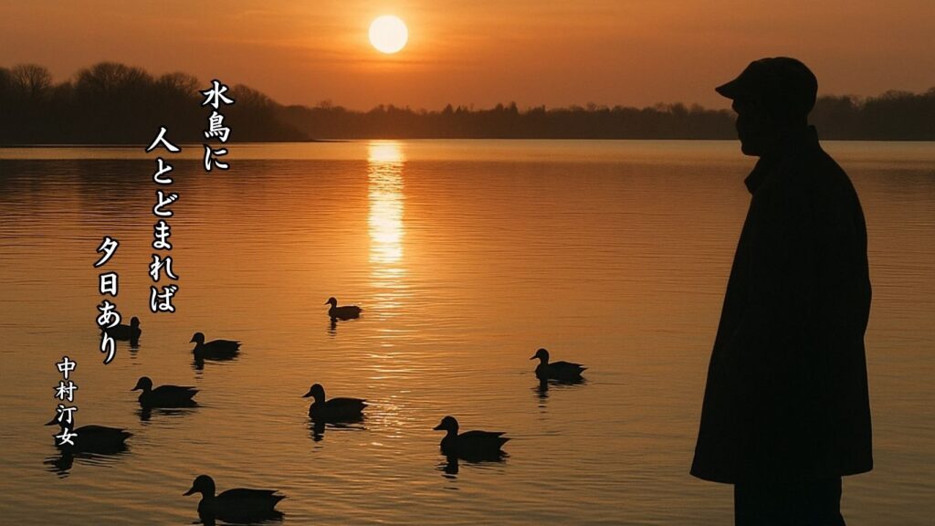 冬の動物季語12選vol.1-有名俳人の句で知る季節のことば「水鳥」『水鳥に 人とどまれば 夕日あり』「中村汀女」の俳句のイメージイラスト画像