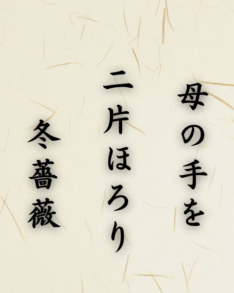 末吉俳句日記「母の手を 二片ほろり 冬薔薇」俳句イメージ画像