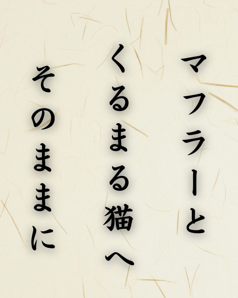 末吉俳句日記「マフラーと くるまる猫へ そのままに」俳句イメージ画像