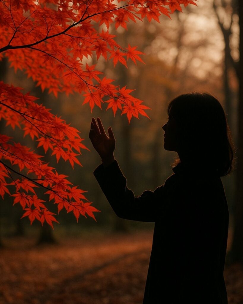 わたぼうし短歌帖「冬もみじ 深きいろより 過ぎし日を
紅さす記憶 思わざりけり」短歌イメージ画像