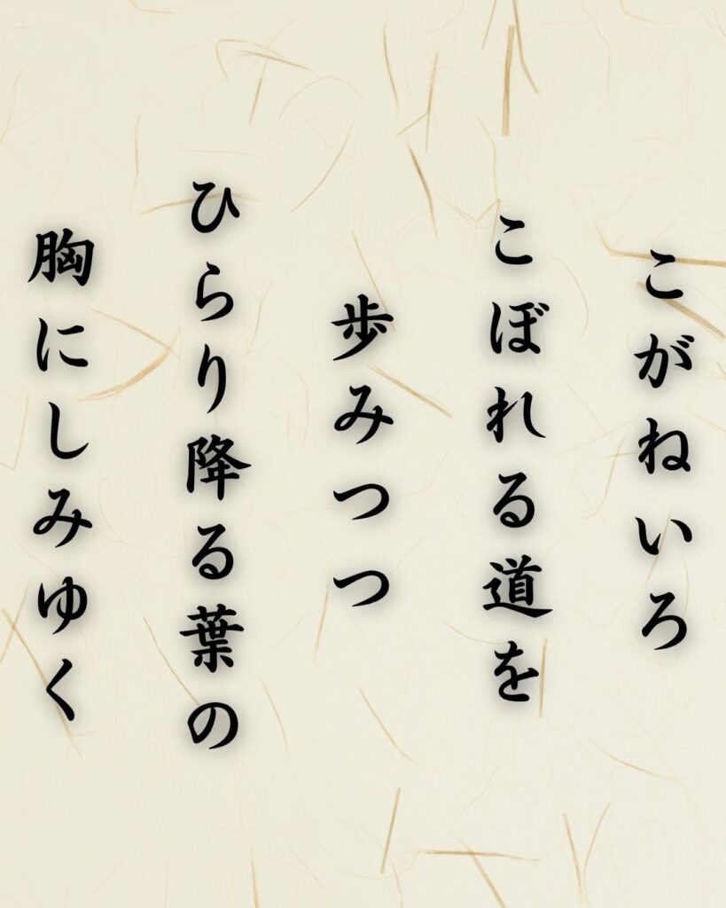 わたぼうし短歌帖「落葉へと 拾う心の 揺れうつり
迷いはそっと 風にほどけぬ」短歌テキスト画像
