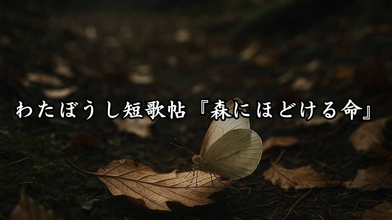 わたぼうし短歌帖『森にほどける命』タイトルイメージ画像