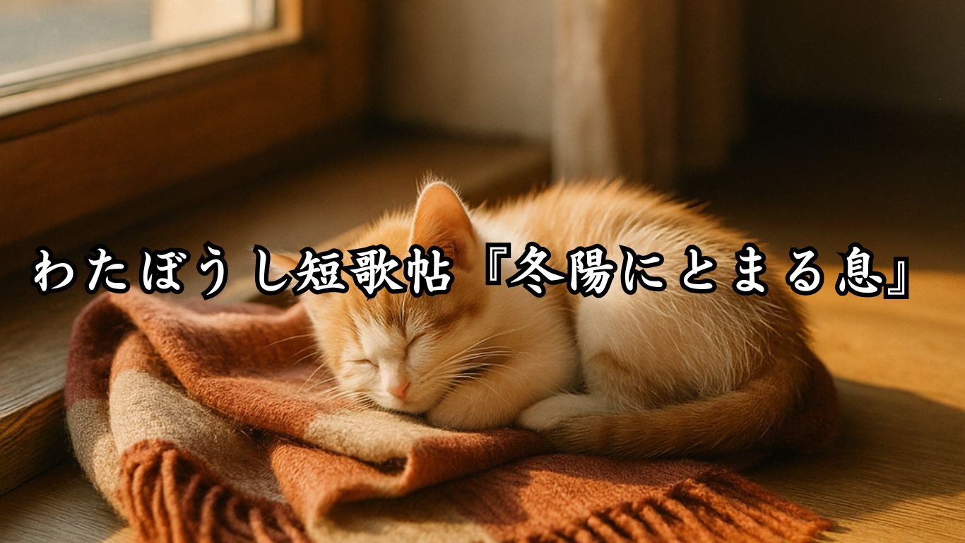 わたぼうし短歌帖『冬陽にとまる息』タイトルイメージ画像