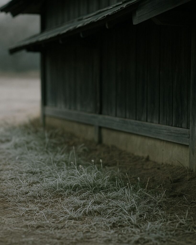 末吉俳句日記「冬ざれの 草も白みて 軒の下」俳句イメージ画像