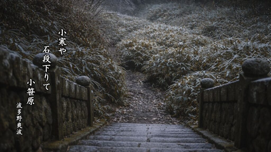 冬の時候季語12選vol.2-有名俳人の句で知る季節のことば「小寒」『小寒や　石段下りて　小笹原』「波多野爽波」の俳句のイメージイラスト画像
