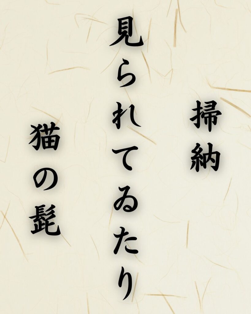 末吉俳句日記「掃納 見られてゐたり 猫の髭」俳句テキスト画像