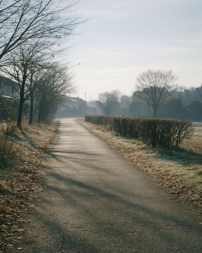 わたぼうし短歌帖「凩に ふと目を伏せて 行く道に
風はとおりて 景は澄めり」短歌イメージ画像