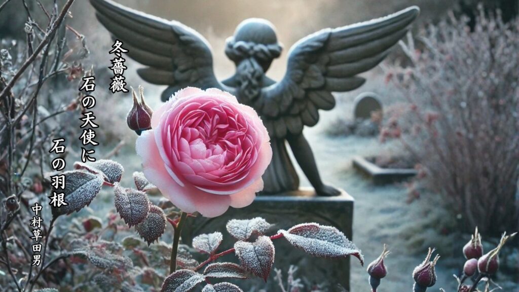 冬の植物季語12選vol.1-有名俳人の句で知る季節のことば「冬薔薇」『冬薔薇 石の天使に 石の羽根』「中村草田男」の俳句のイメージイラスト画像