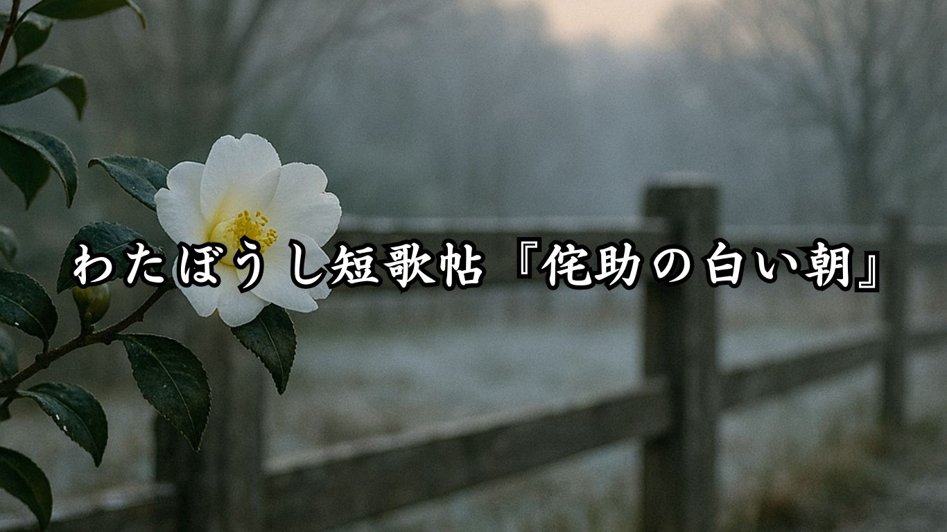 わたぼうし短歌帖『侘助の白い朝』タイトルイメージ画像