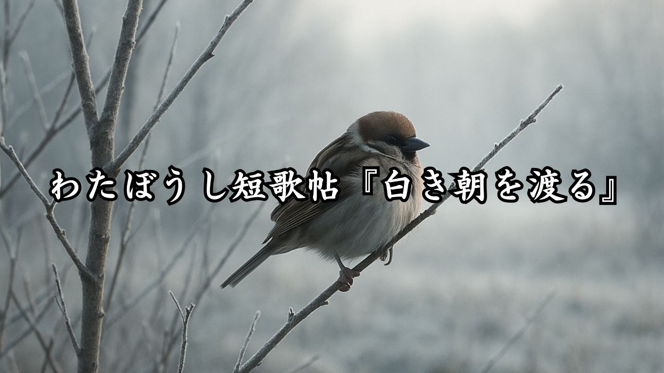 わたぼうし短歌帖『白き朝を渡る』タイトルイメージ画像