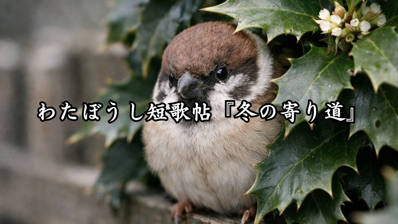 わたぼうし短歌帖『冬の寄り道』タイトルイメージ画像